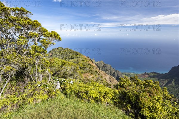 Blick vom Kalalau Lookout ins Kalalau Valley