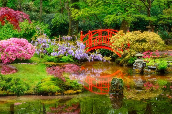 Small bridge in Japanese garden