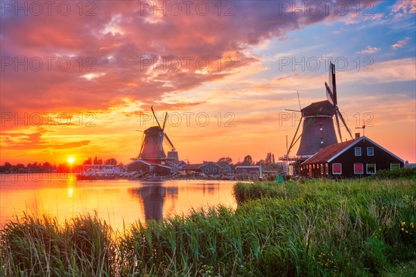 Netherlands rural scene