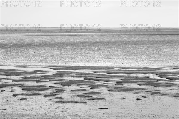 Ebbe im Nationalpark Wattenmeer