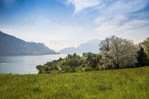 Panorama with lake and mountains