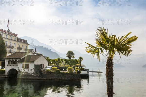 Hotels and houses on the lake