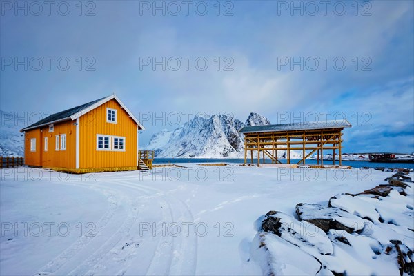 Traditional yellow rorbu house in drying flakes for stockfish cod fish in winter