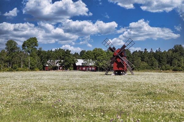 Red windmill in a flowering meadow on the edge of a village