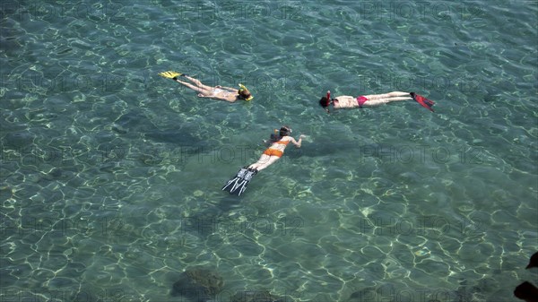 Three snorkellers swim on the surface and look at the seabed in a shallow bay with turquoise water