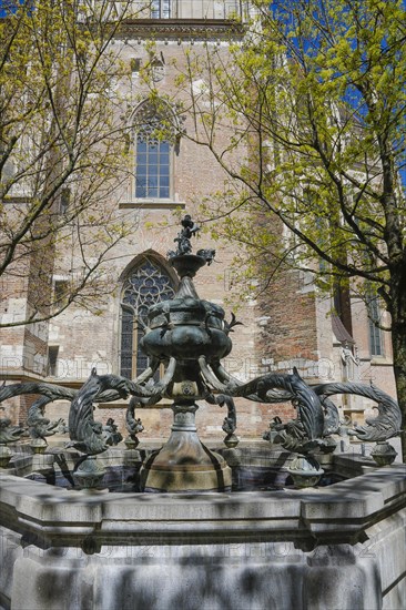 Dolphin fountain at Muensterplatz by Wolfgang Neithard