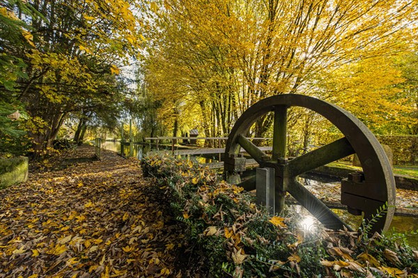 Golden autumn on the Anzinger Sempt in Markt Swabia