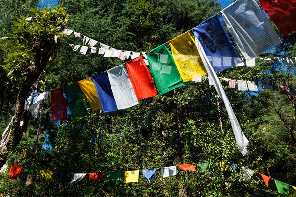 Buddhist prayer flags lungta with Om Mani Padme Hum Buddhist mantra prayer meaning Praise to the Jewel in the Lotus on kora around Tsuglagkhang complex. McLeod Ganj