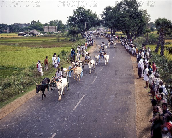 Bullock cart race or Rekla race in Madurai