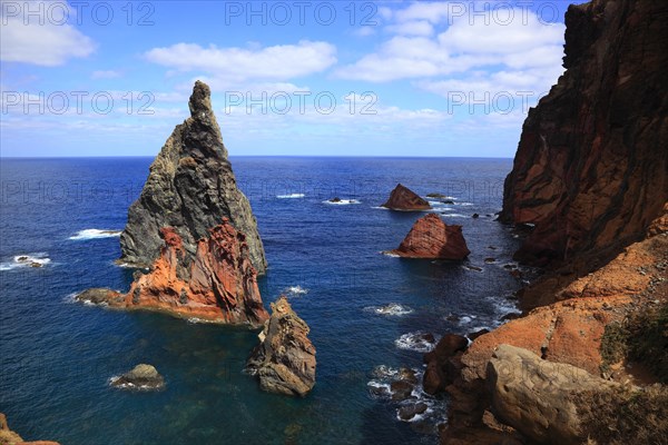 At Cap Ponta de Sao Lourenco