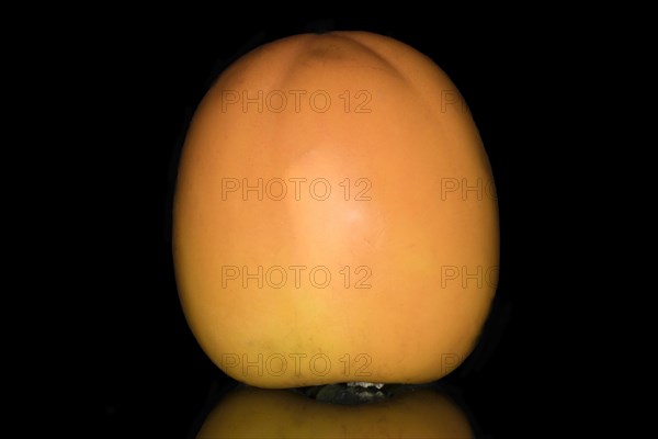 Persimmon