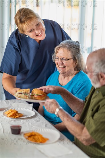 Female doctor or nurse serving senior adult couple sandwiches at table