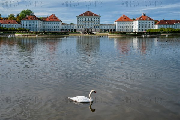 Swans in pond in front of the Nymphenburg Palace. Munich