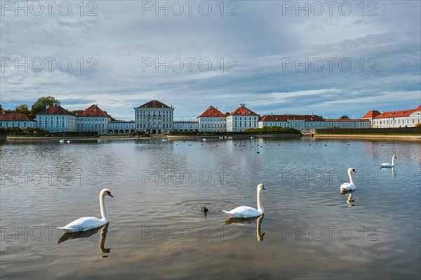 Swans in pond in front of the Nymphenburg Palace