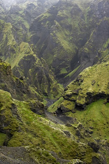 View into rugged moss-covered canyon with tufa rock formations