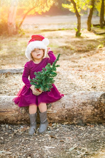 Cute mixed-race young baby girl having fun with santa hat and christmas tree outdoors on log