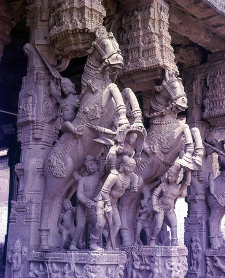 The horse pillar in Srirangam Ranganatha temple