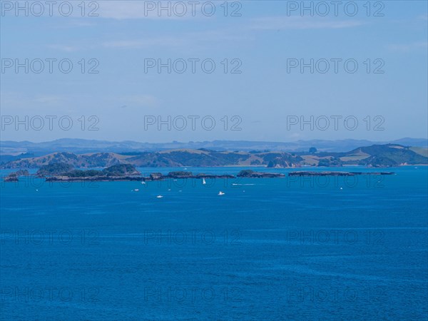 Sailboats in the Bay of Islands