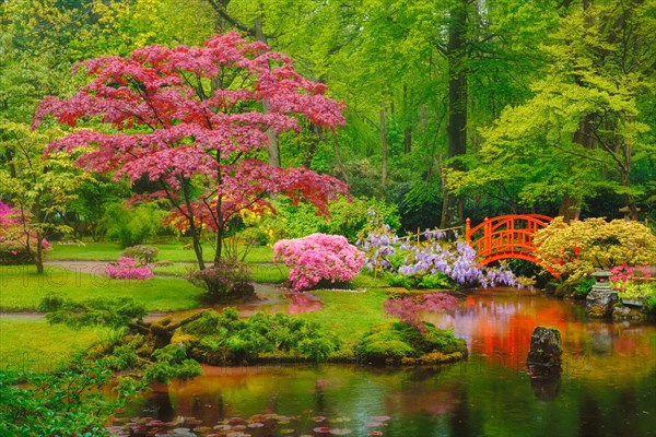 Small bridge in Japanese garden