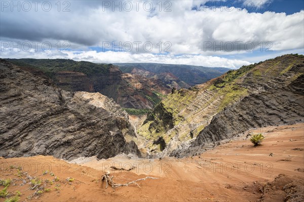 Waimea Canyon State Park