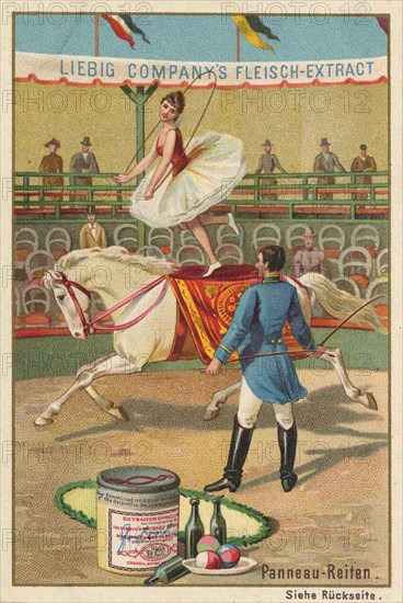 Series Horse Dressage in the Circus