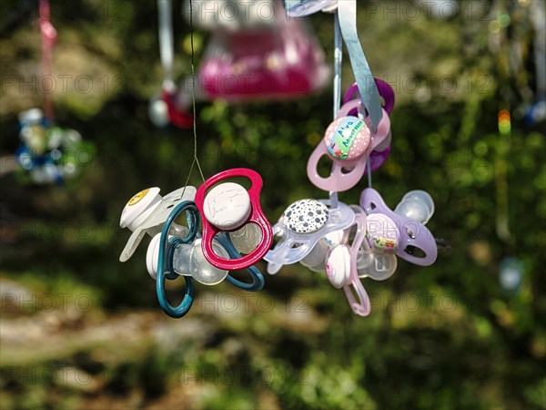 Colourful discarded dummies hanging on a tree