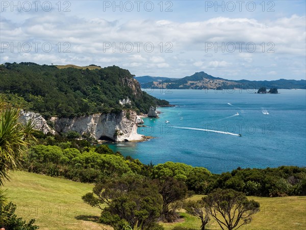 Coast at Cathedral Cove Walk