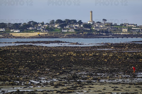 View at low tide from Roscoff to the island Ile de Batz with lighthouse