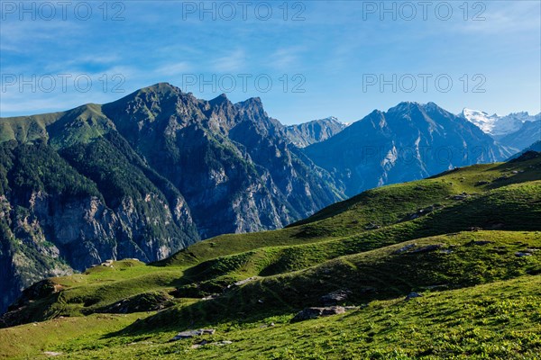 Spring meadow in Kullu valley in Himalaya mountains. Himachal Pradesh
