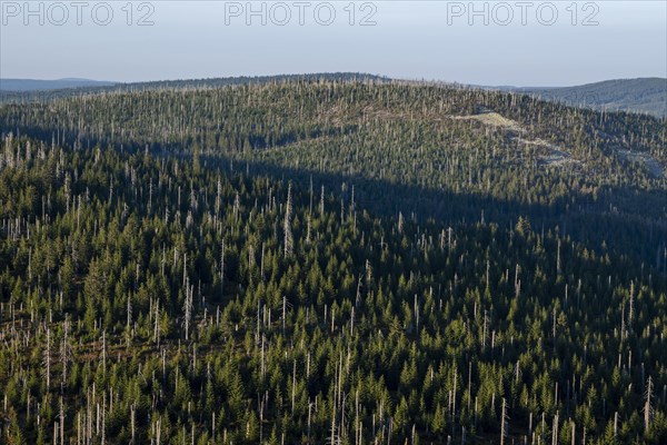 Ausblick vom Lusen auf Wald und Berge