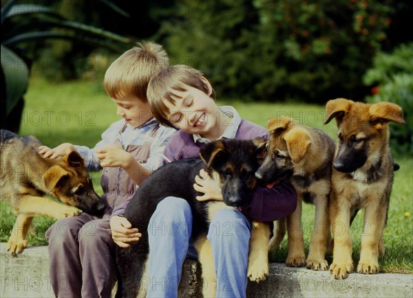 Children playing with young shepherd dogs