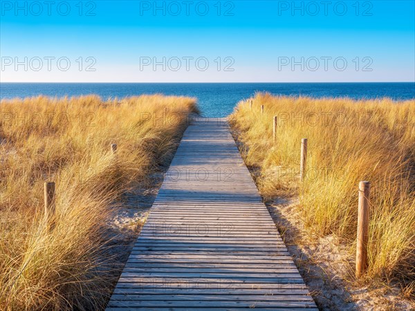 Strandzugang an der Ostsee im Abendlicht