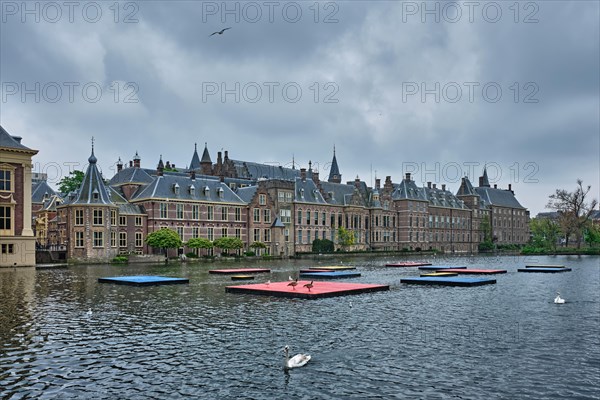 View of the Binnenhof House of Parliament and the Hofvijver lake with swans