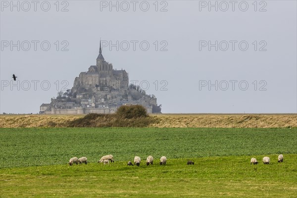 Island Mont Saint-Michel in the bay of Mont-Saint-Michel in the Wadden Sea