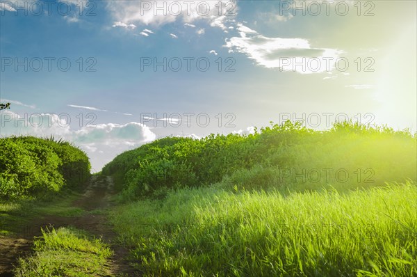 Narrow road in the countryside