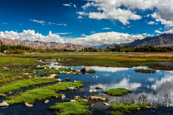 View of Indus valley from Shey palace. Ladakh