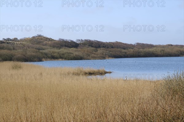 Hammersee