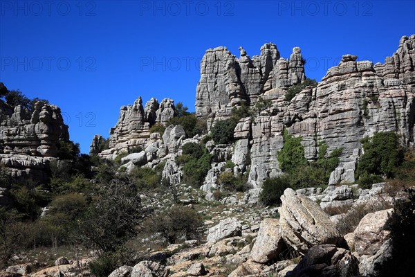 Bizarre rock formations in El Torca National Park