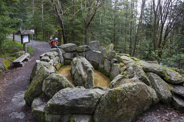Hikers at the Kneipp treading pool on the Moorwald adventure trail