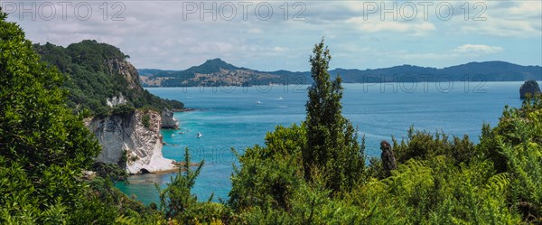 Coast at Cathedral Cove Walk