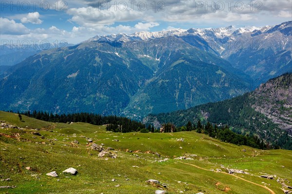 Spring meadow in Kullu valley in Himalaya mountains. Himachal Pradesh