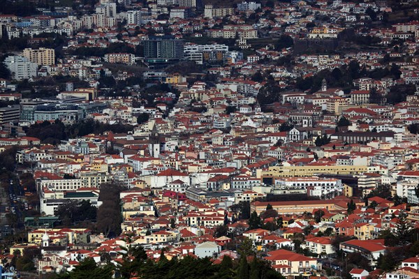 View of Calheta