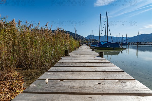 Jetty from a low position with a view of the reeds and boats on a beautiful summer day
