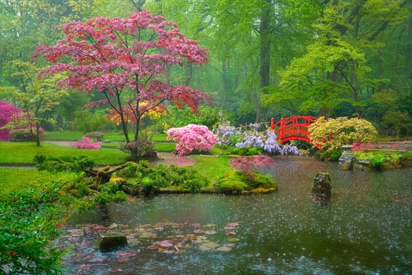 Small bridge in Japanese garden in rain