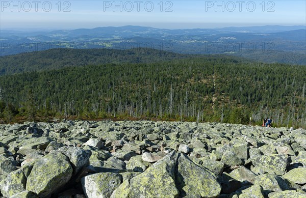 Ausblick vom Lusen auf das Blockmeer und den Wald