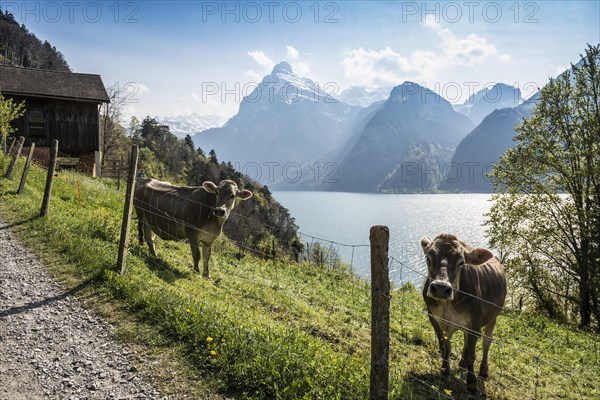 Panorama with lake and mountains