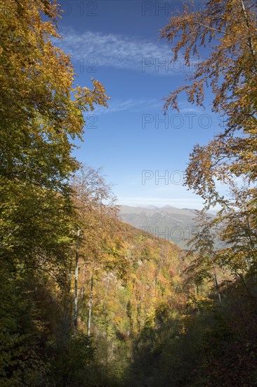 Autumn in the Ligurian Alps near Imperia