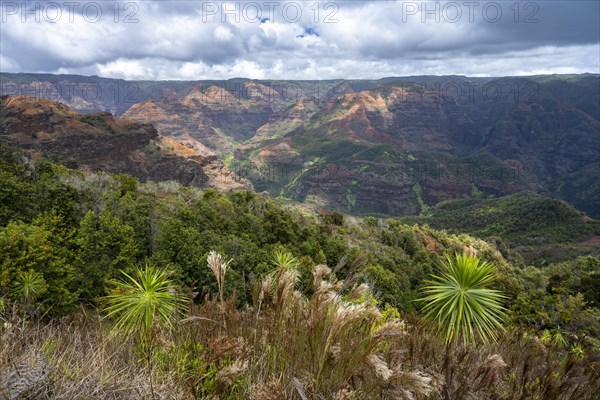 Waimea Canyon State Park