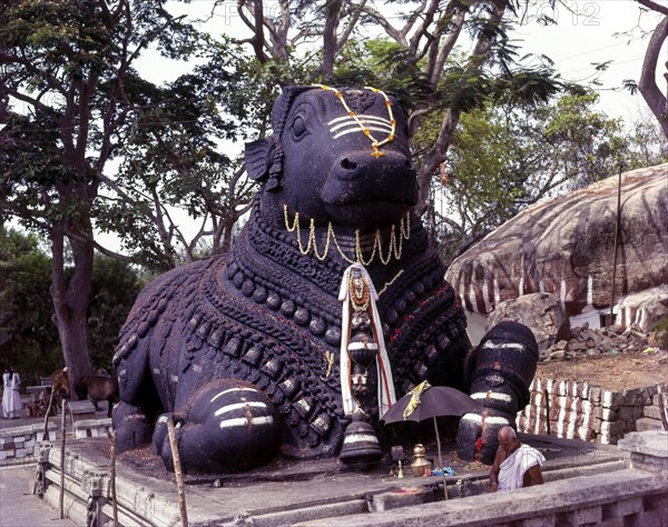 16 feet tall monolith Nandi bull in Chamundi hill