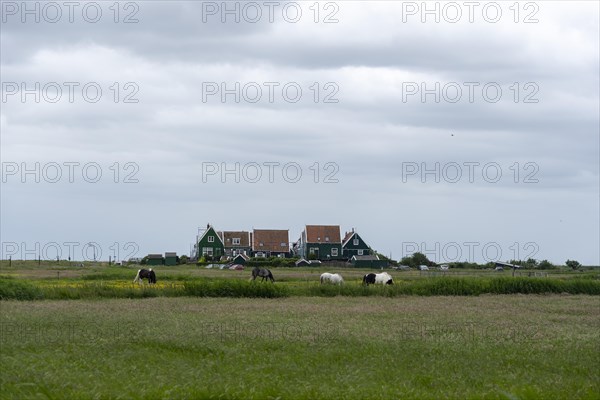 Characteristic houses